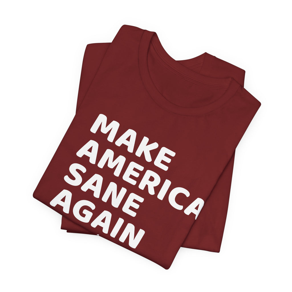 Make America Sane Again T-Shirt