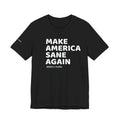 Make America Sane Again T-Shirt
