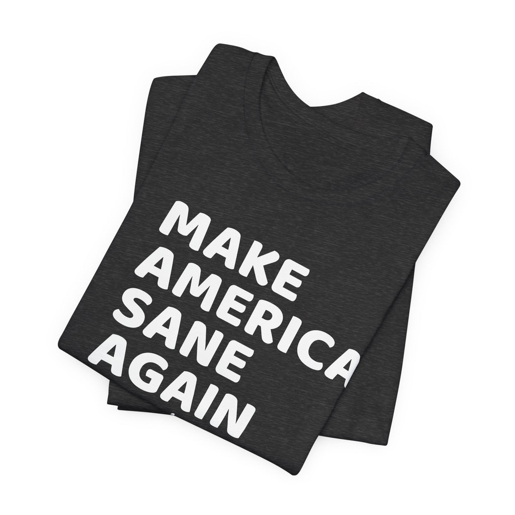 Make America Sane Again T-Shirt