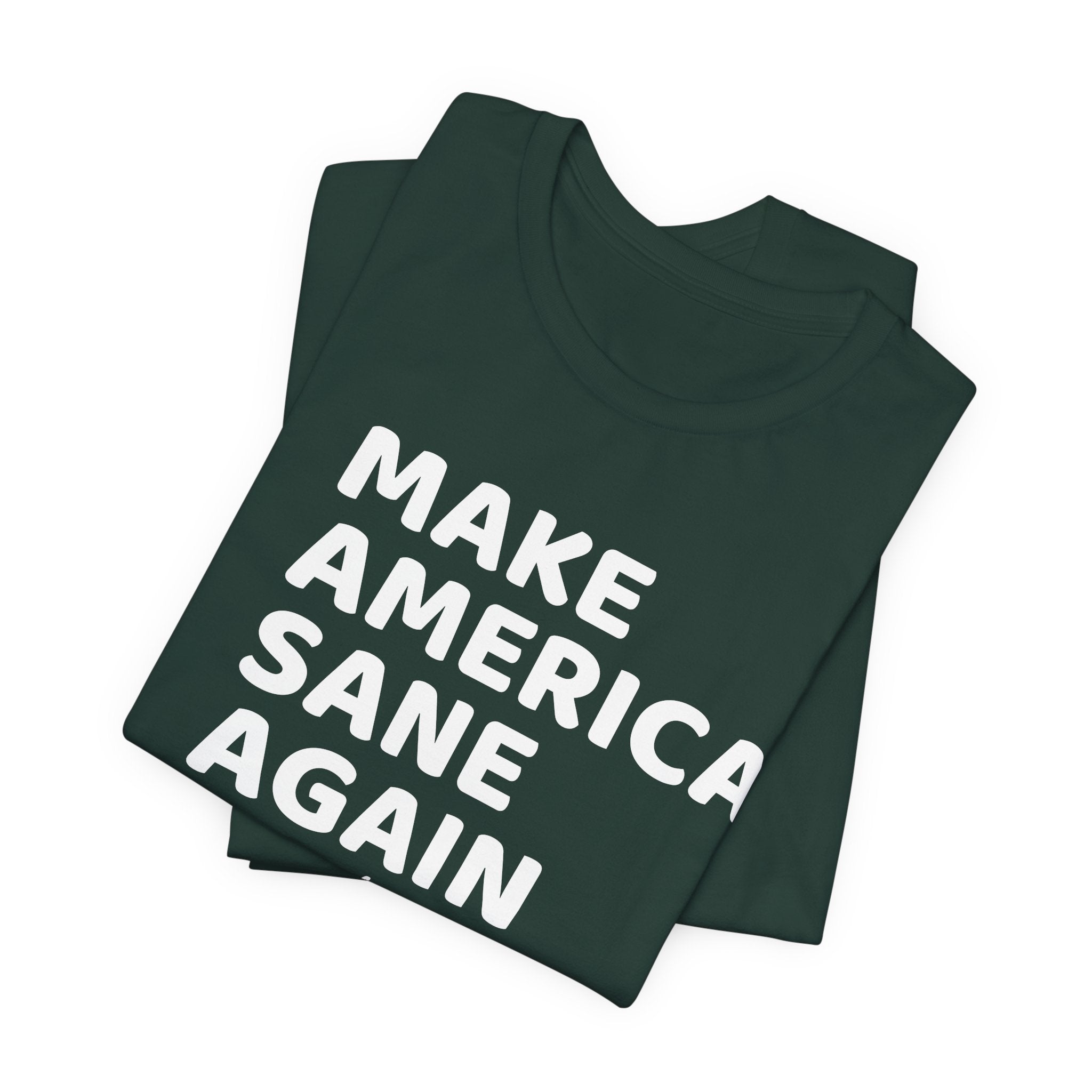 Make America Sane Again T-Shirt
